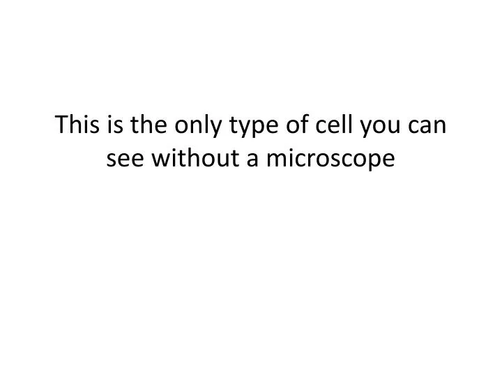 this is the only type of cell you can see without a microscope