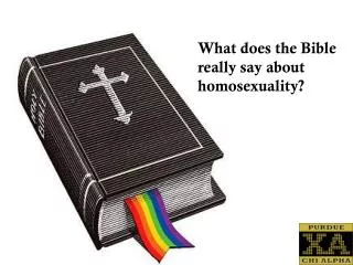 What does the Bible r eally say about homosexuality?