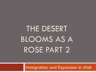 The Desert Blooms as a Rose Part 2