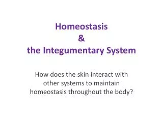 homeostasis the integumentary system