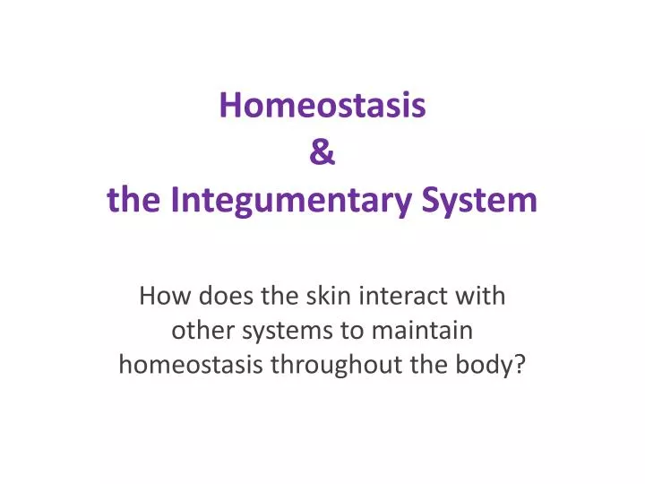 homeostasis the integumentary system