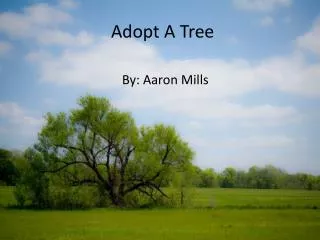 Adopt A Tree