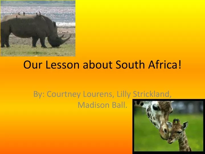 our lesson about south africa