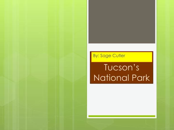 tucson s national park