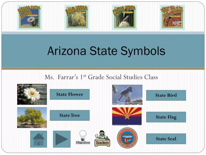 arizona state symbols