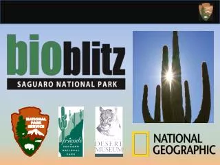 National Geographic and National Park Service: 10 Years of BioBlitz