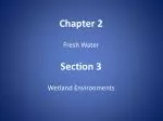 Chapter 2 Fresh Water Section 3 Wetland Environments
