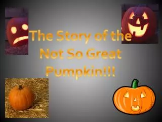 The Story of the Not So Great Pumpkin!!!