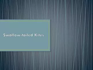 swallow tailed kites