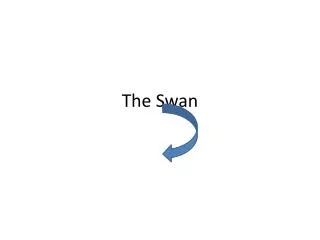 the swan