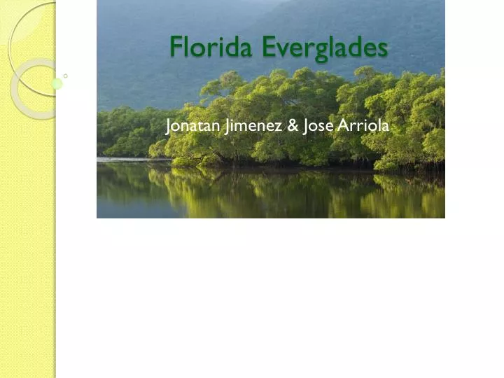 florida everglades