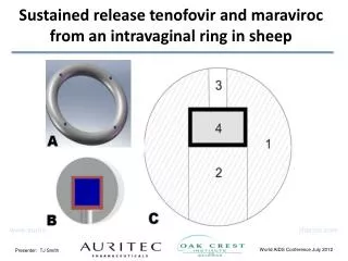 Sustained release tenofovir and maraviroc from an intravaginal ring in sheep
