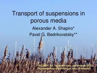 Transport of suspensions in porous media