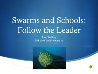 Swarms and Schools: Follow the Leader