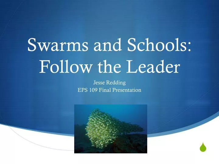 swarms and schools follow the leader