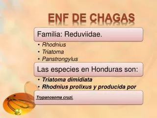 enf de chagas
