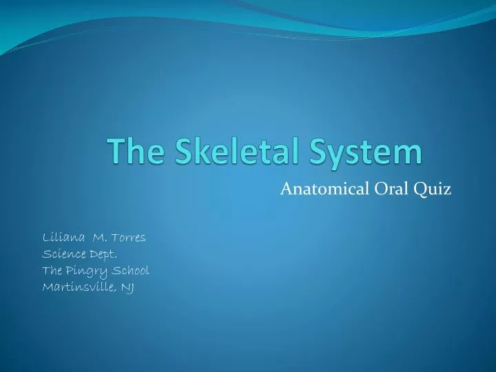 the skeletal system