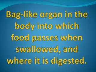 bag like organ in the body into which food passes when swallowed and where it is digested