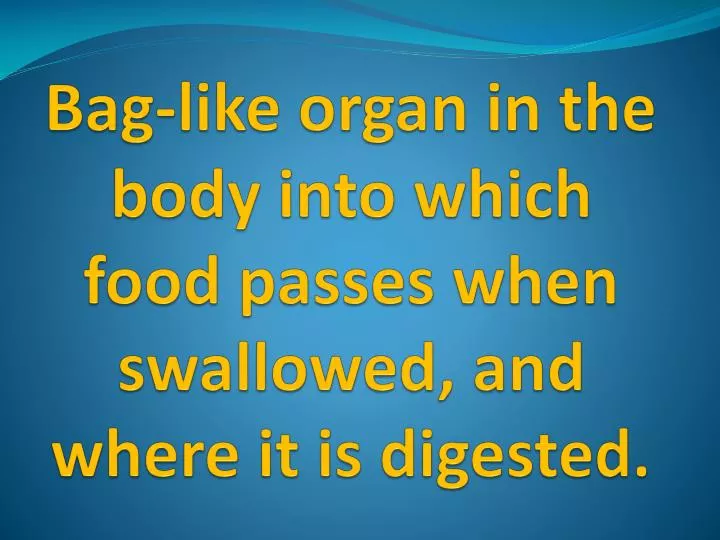 bag like organ in the body into which food passes when swallowed and where it is digested