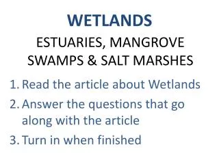 ESTUARIES, MANGROVE SWAMPS &amp; SALT MARSHES