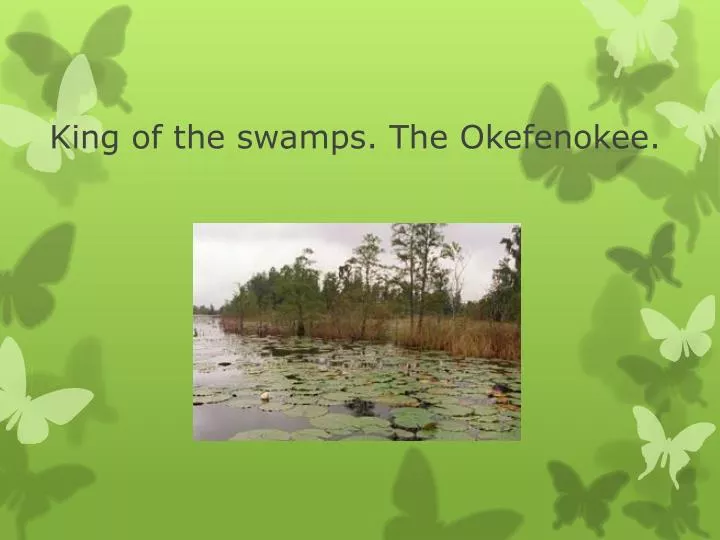 king of the swamps the okefenokee