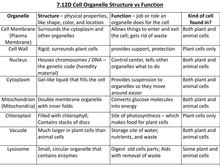 7 12d cell organelle structure vs function