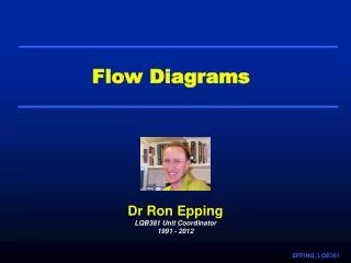 Flow Diagrams