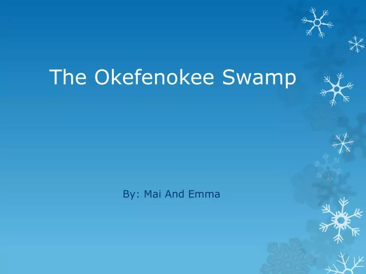the okefenokee swamp