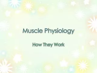 Muscle Physiology