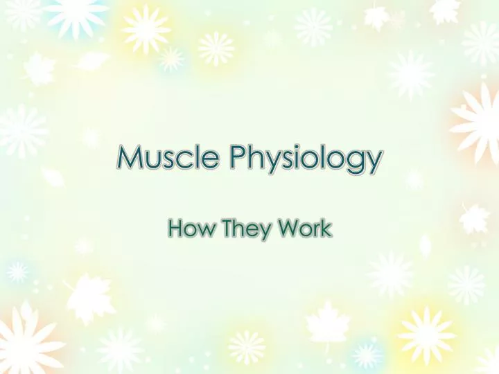 muscle physiology