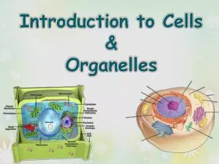 Introduction to Cells &amp; Organelles