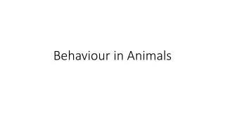 Behaviour in Animals