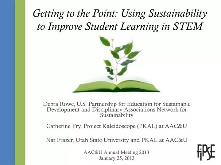 getting to the point using sustainability to improve student learning in stem