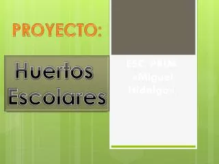 esc prim miguel hidalgo