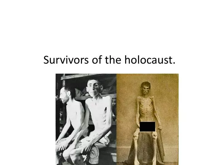 survivors of the holocaust