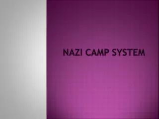 Nazi Camp System