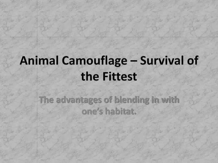 animal camouflage survival of the fittest