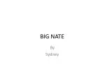 BIG NATE - slide 1