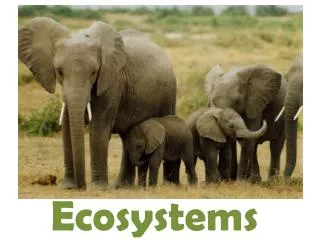 Ecosystems