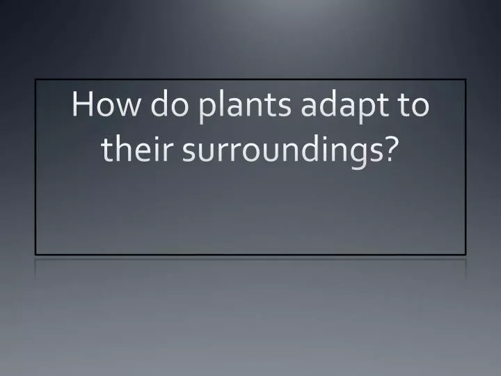 how do plants adapt to their surroundings