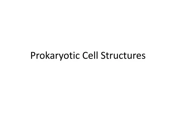 prokaryotic cell structures