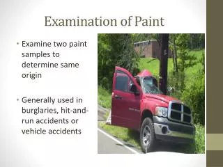 Examination of Paint