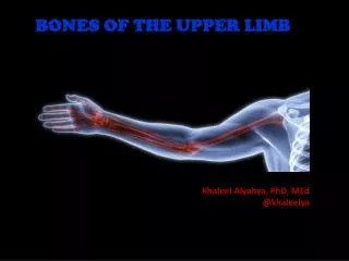 BONES OF THE UPPER LIMB