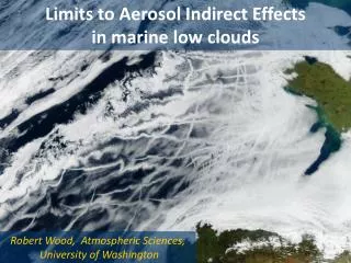 Limits to Aerosol Indirect Effects in marine low clouds