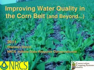Improving Water Quality in the Corn Belt (and Beyond...)