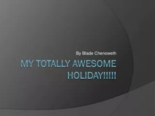 My totally awesome holiday!!!!!
