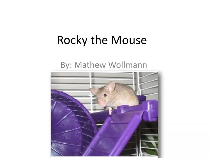 rocky the mouse