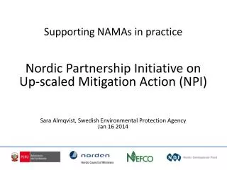Supporting NAMAs in practice