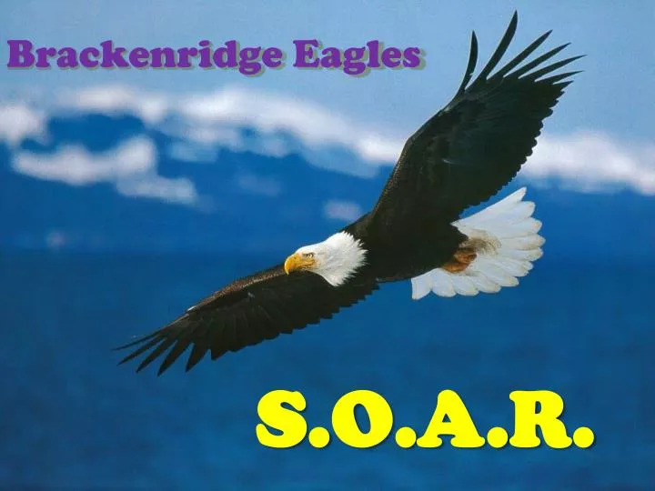brackenridge eagles