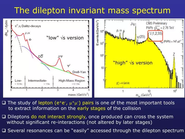 the dilepton invariant mass spectrum